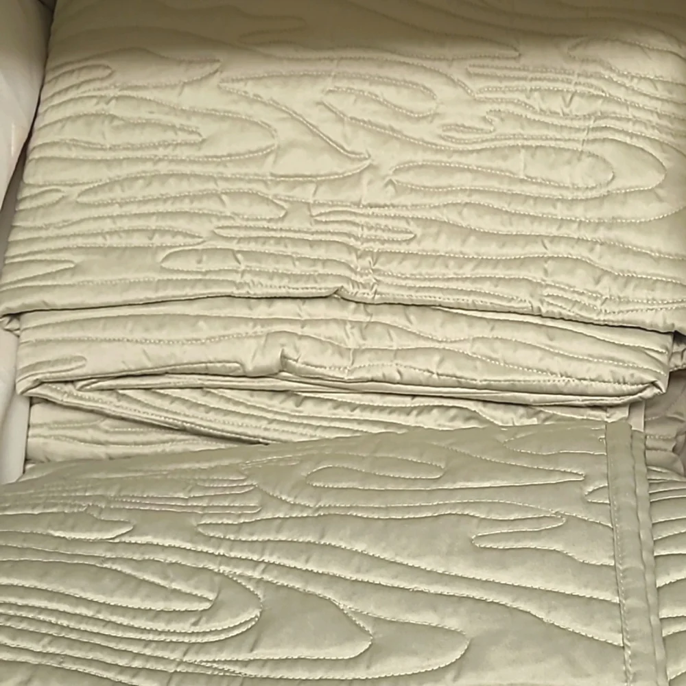 Cindy Crawford Style Elise Light Sage Green Satin Woodgrain Coverlet / Q…
